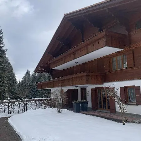 In Ground Floor Cozy Duplex Saanenmoser