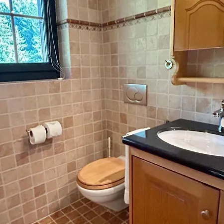 In Ground Floor Cozy Duplex Saanenmoser