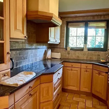 In Ground Floor Cozy Duplex Saanenmoser