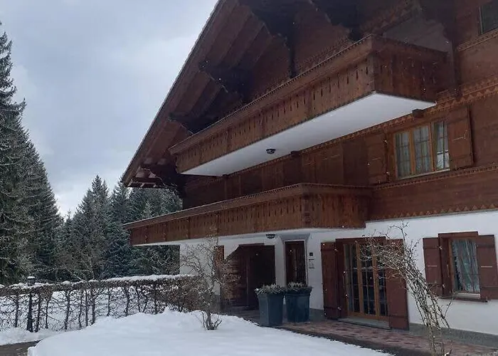 In Ground Floor Cozy Duplex Saanenmöser