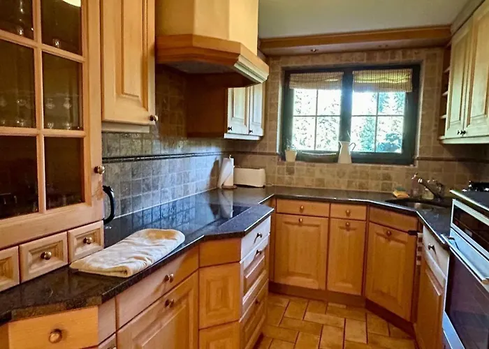 In Ground Floor Cozy Duplex Saanenmöser